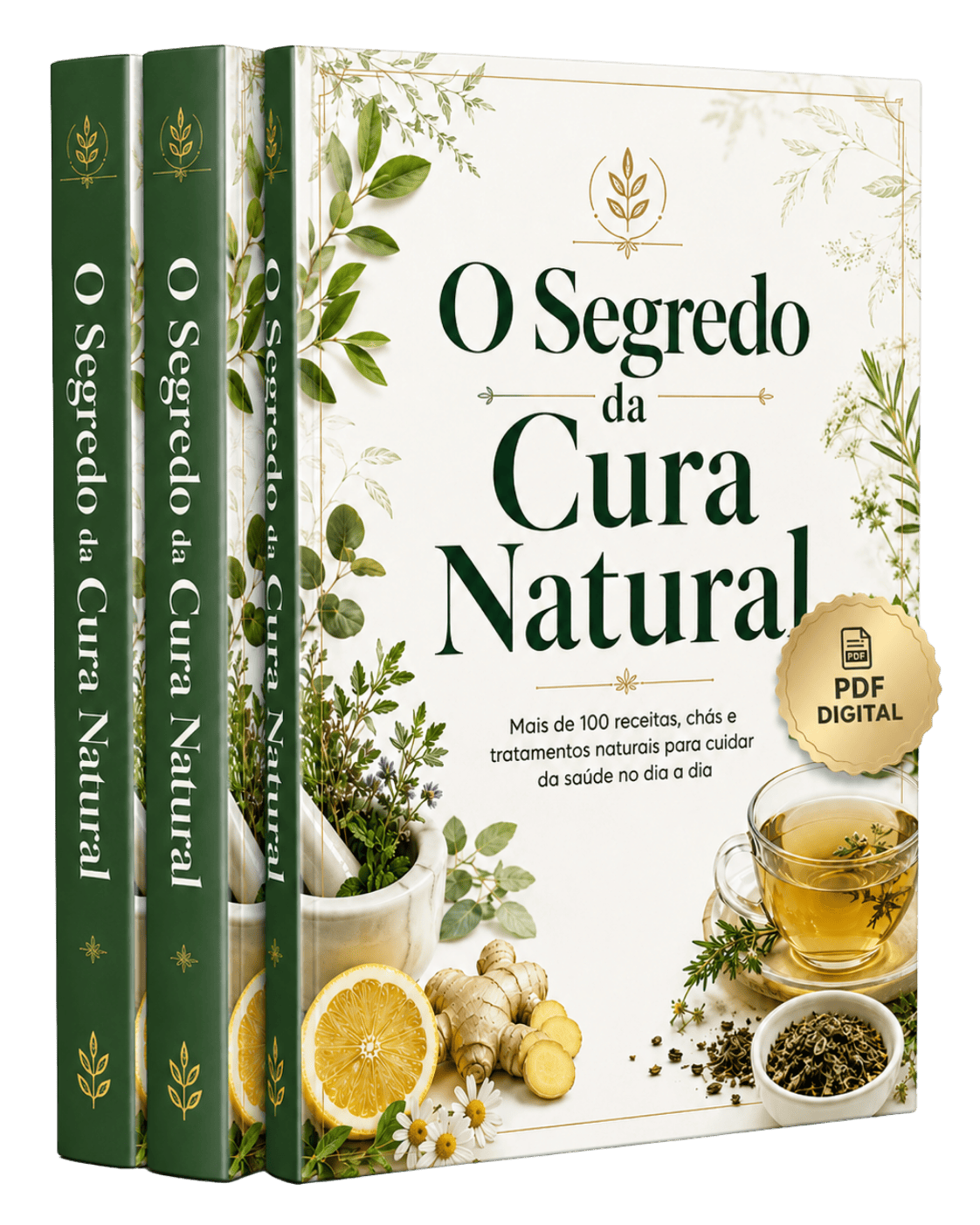 Mockup do guia digital O Segredo da Cura Natural
